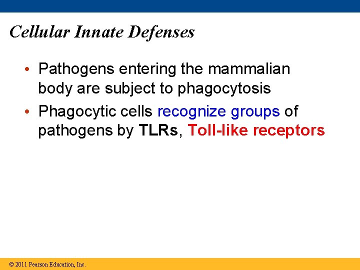 Cellular Innate Defenses • Pathogens entering the mammalian body are subject to phagocytosis •
