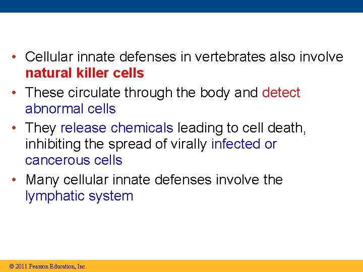  • Cellular innate defenses in vertebrates also involve natural killer cells • These