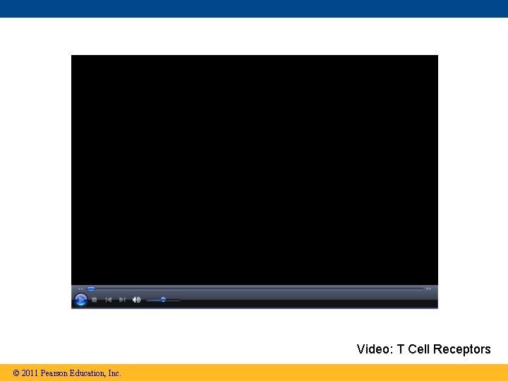Video: T Cell Receptors © 2011 Pearson Education, Inc. 