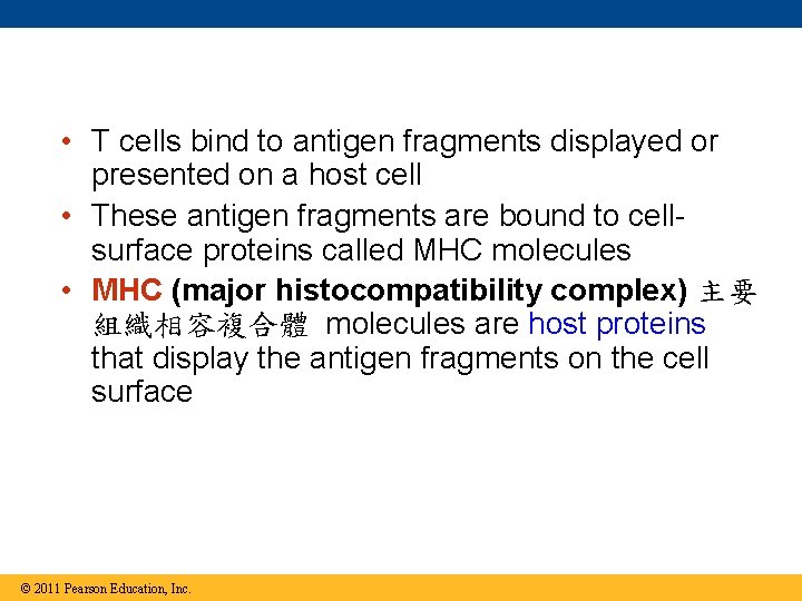  • T cells bind to antigen fragments displayed or presented on a host