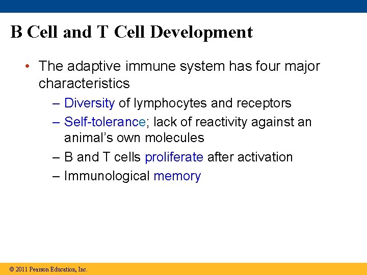 B Cell and T Cell Development • The adaptive immune system has four major