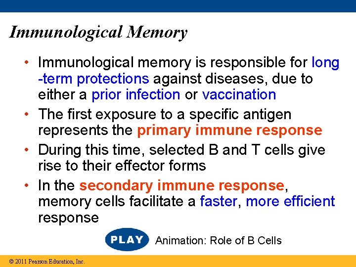 Immunological Memory • Immunological memory is responsible for long -term protections against diseases, due
