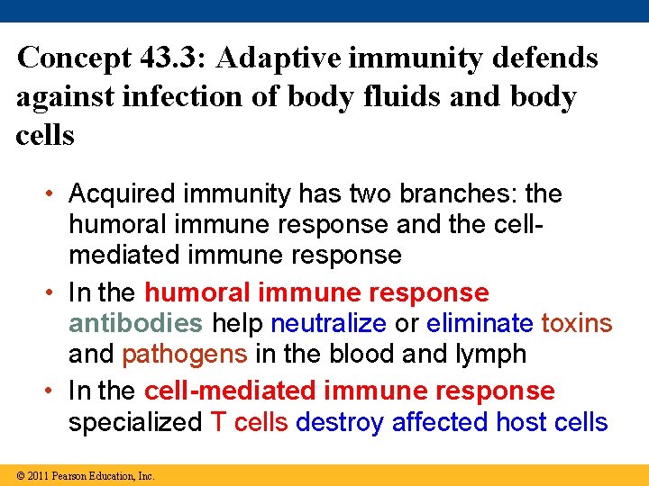 Concept 43. 3: Adaptive immunity defends against infection of body fluids and body cells