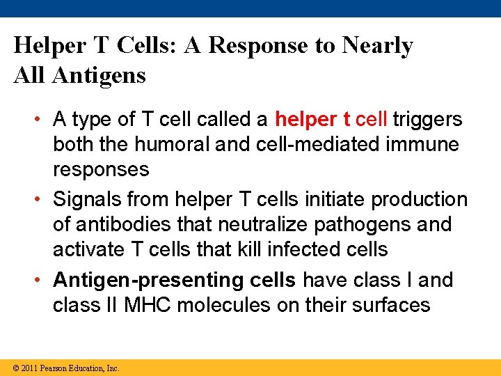 Helper T Cells: A Response to Nearly All Antigens • A type of T
