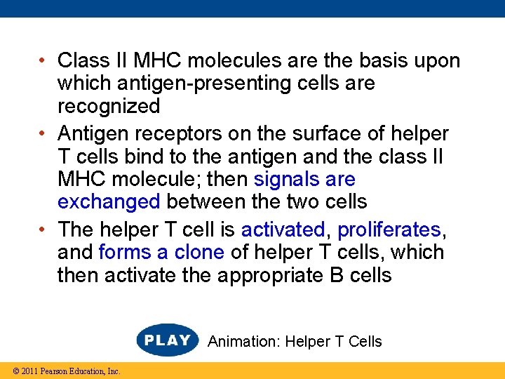  • Class II MHC molecules are the basis upon which antigen-presenting cells are