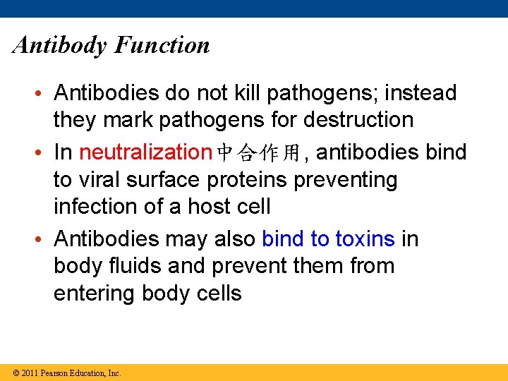 Antibody Function • Antibodies do not kill pathogens; instead they mark pathogens for destruction