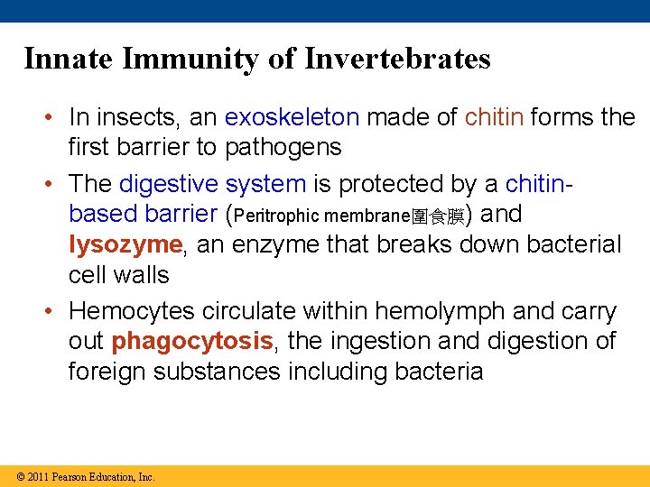 Innate Immunity of Invertebrates • In insects, an exoskeleton made of chitin forms the