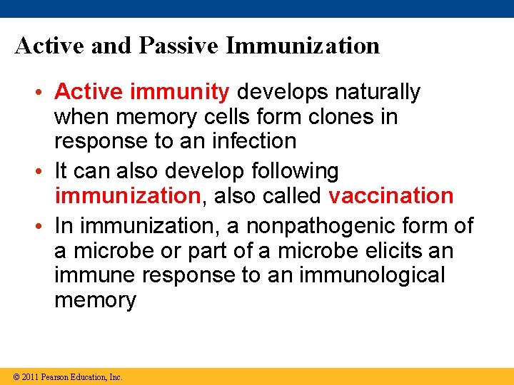 Active and Passive Immunization • Active immunity develops naturally when memory cells form clones