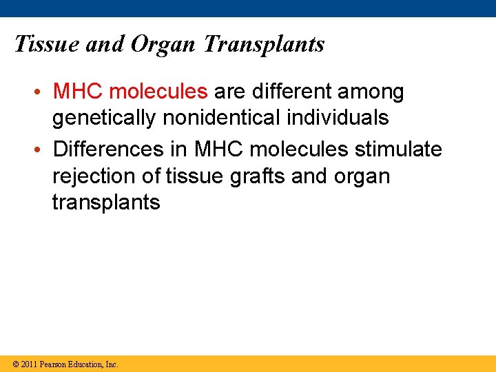 Tissue and Organ Transplants • MHC molecules are different among genetically nonidentical individuals •