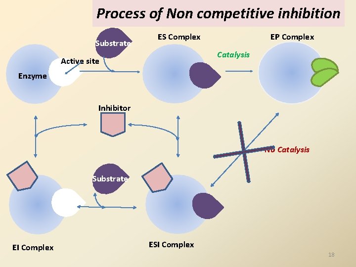 Process of Non competitive inhibition Substrate ES Complex EP Complex Catalysis Active site Enzyme