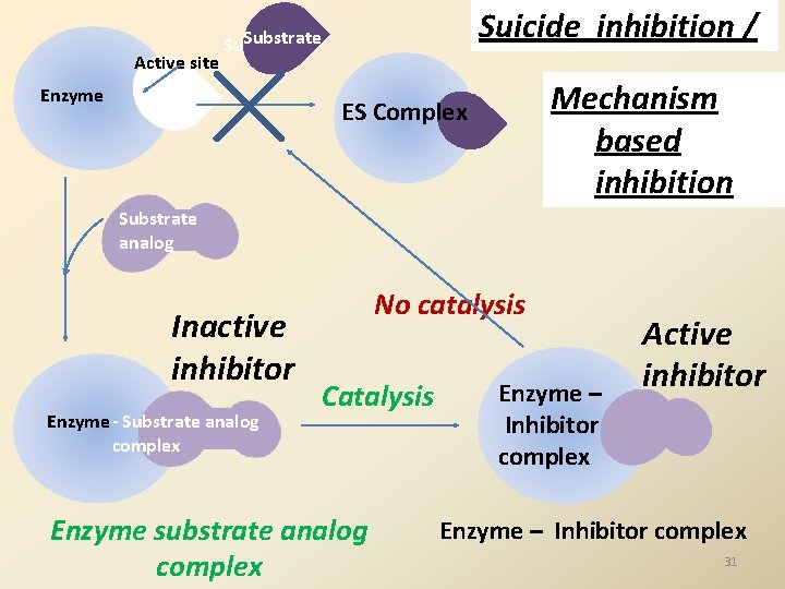 Active site Suicide inhibition / Substrate Enzyme Mechanism based inhibition ES Complex Substrate analog Active site Suicide inhibition / Substrate Enzyme Mechanism based inhibition ES Complex Substrate analog