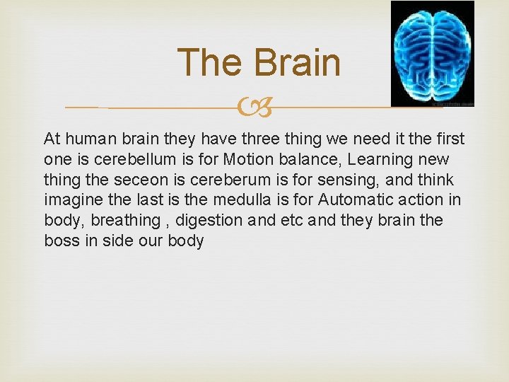 The Brain At human brain they have three thing we need it the first