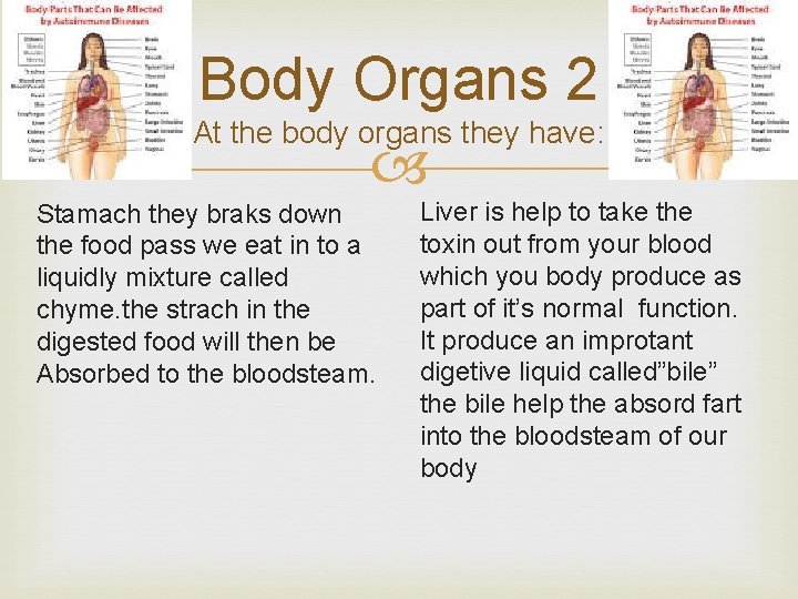 Body Organs 2 At the body organs they have: Stamach they braks down the