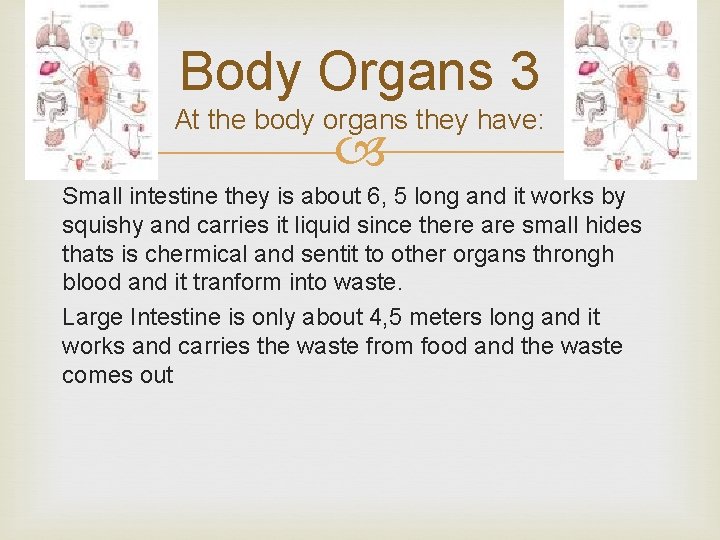 Body Organs 3 At the body organs they have: Small intestine they is about