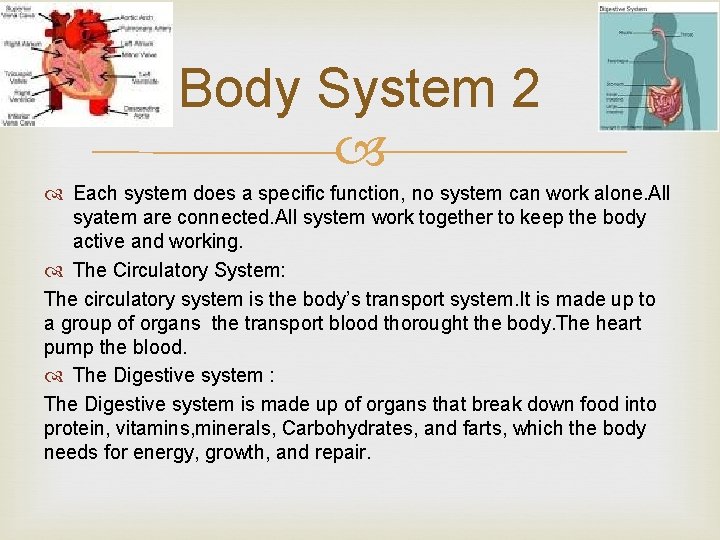 Body System 2 Each system does a specific function, no system can work alone.