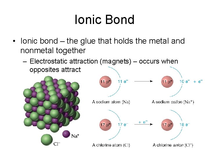 Ionic Bond • Ionic bond – the glue that holds the metal and nonmetal