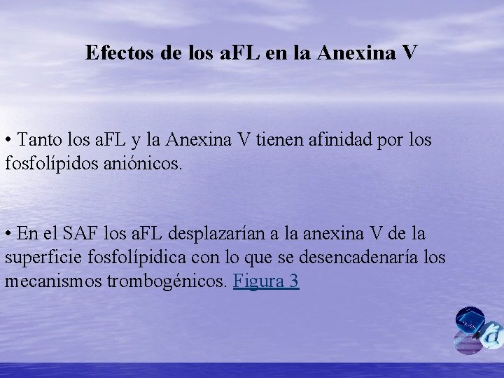 Efectos de los a. FL en la Anexina V • Tanto los a. FL