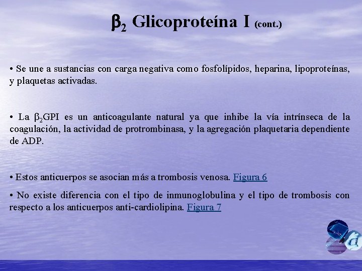 b 2 Glicoproteína I (cont. ) • Se une a sustancias con carga negativa