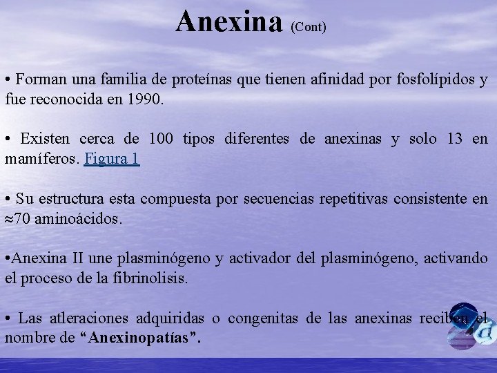 Anexina (Cont) • Forman una familia de proteínas que tienen afinidad por fosfolípidos y