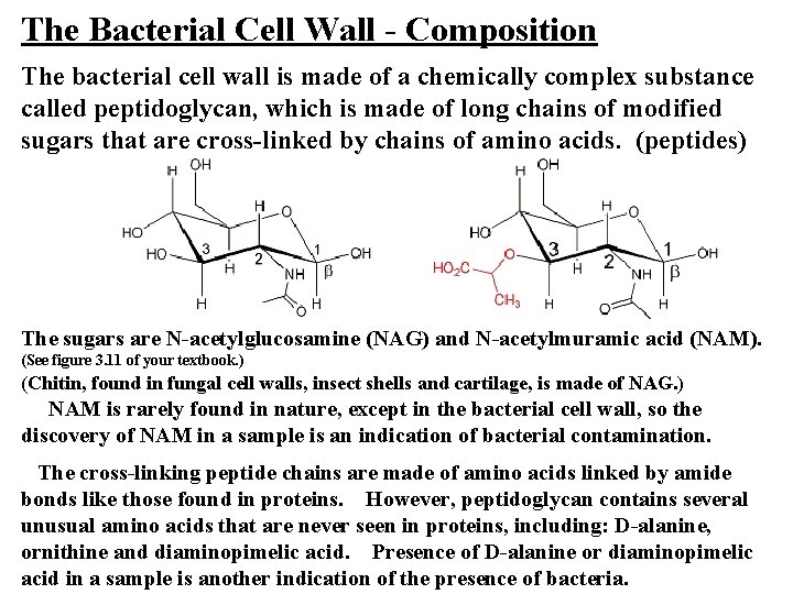 The Bacterial Cell Wall - Composition The bacterial cell wall is made of a