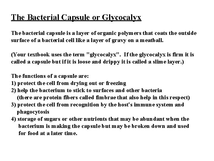 The Bacterial Capsule or Glycocalyx The bacterial capsule is a layer of organic polymers