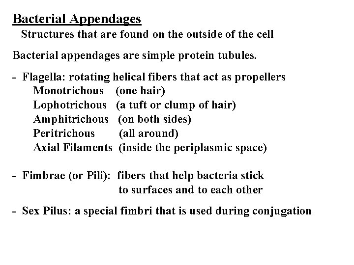 Bacterial Appendages Structures that are found on the outside of the cell Bacterial appendages