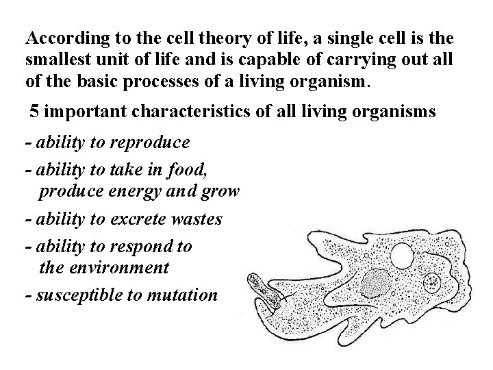 According to the cell theory of life, a single cell is the smallest unit