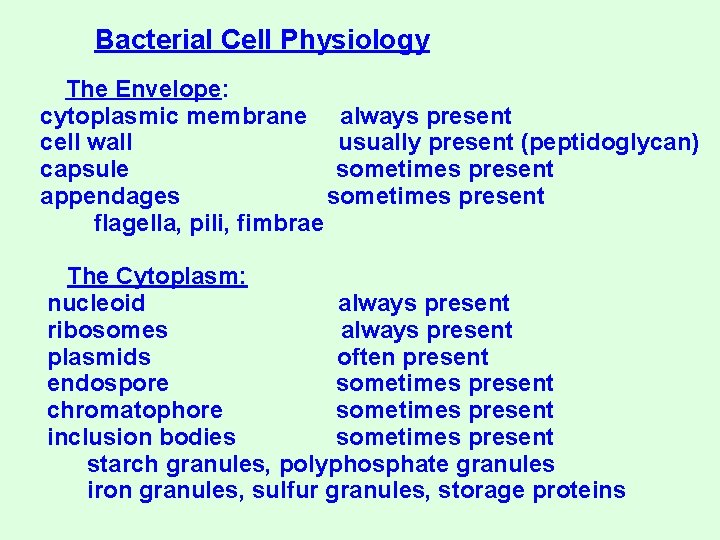 Bacterial Cell Physiology The Envelope: cytoplasmic membrane always present cell wall usually present (peptidoglycan)