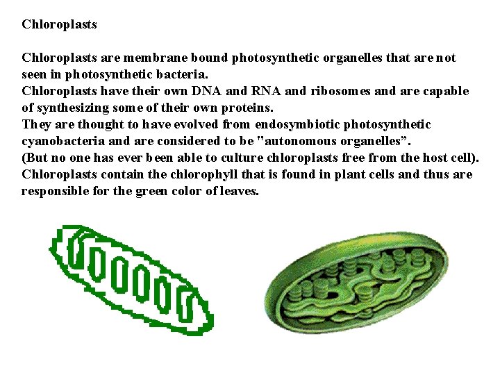 Chloroplasts are membrane bound photosynthetic organelles that are not seen in photosynthetic bacteria. Chloroplasts