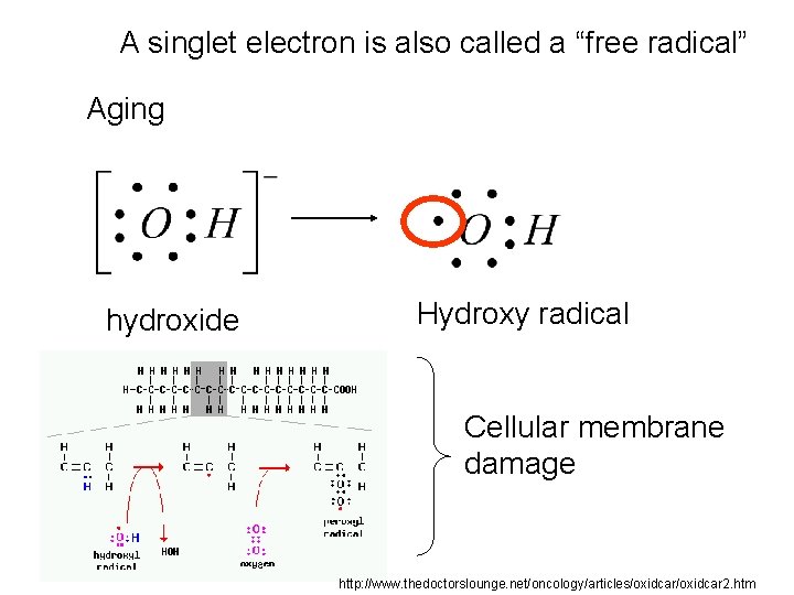 A singlet electron is also called a “free radical” Aging hydroxide Hydroxy radical Cellular