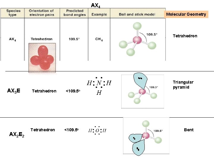 AX 4 Molecular Geometry Tetrahedron AX 3 E AX 2 E 2 Tetrahedron <109.