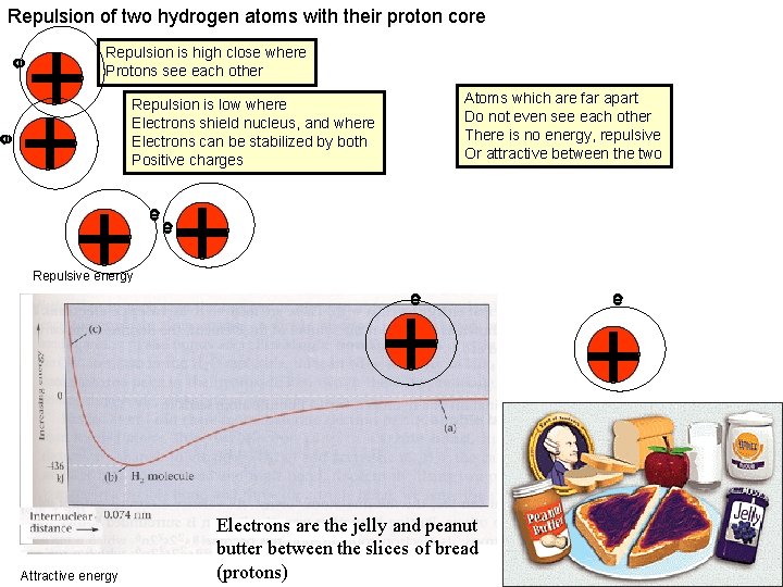 Repulsion of two hydrogen atoms with their proton core e e ++ Repulsion is