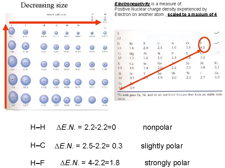 Decreasing size Electronegativity is a measure of Positive Nuclear charge density experienced by Electron