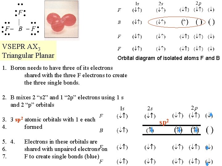 VSEPR AX 3 Triangular Planar Orbital diagram of isolated atoms F and B 1.