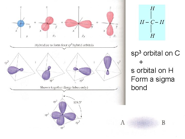 sp 3 orbital on C + s orbital on H Form a sigma bond