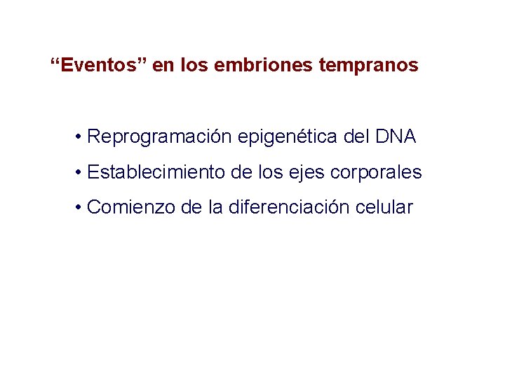 “Eventos” en los embriones tempranos • Reprogramación epigenética del DNA • Establecimiento de los