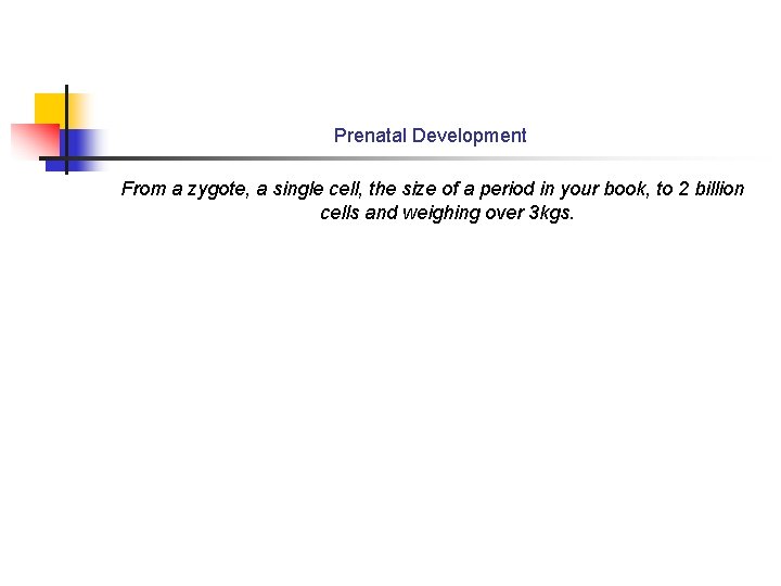 Prenatal Development From a zygote, a single cell, the size of a period in