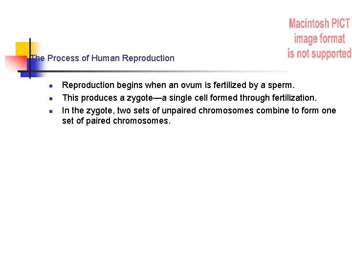 The Process of Human Reproduction begins when an ovum is fertilized by a sperm.
