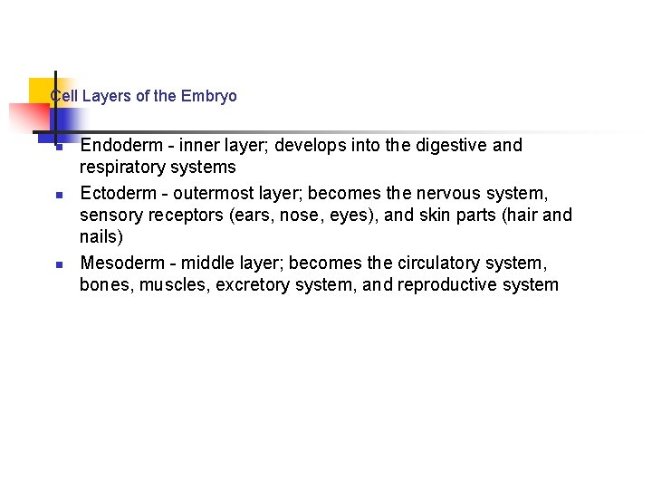 Cell Layers of the Embryo n n n Endoderm - inner layer; develops into