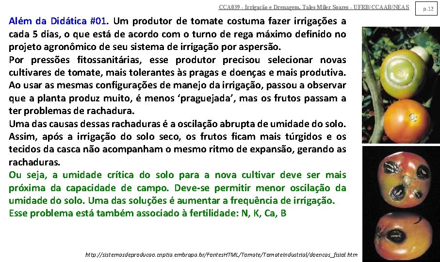 CCA 039 - Irrigação e Drenagem. Tales Miler Soares - UFRB/CCAAB/NEAS Além da Didática