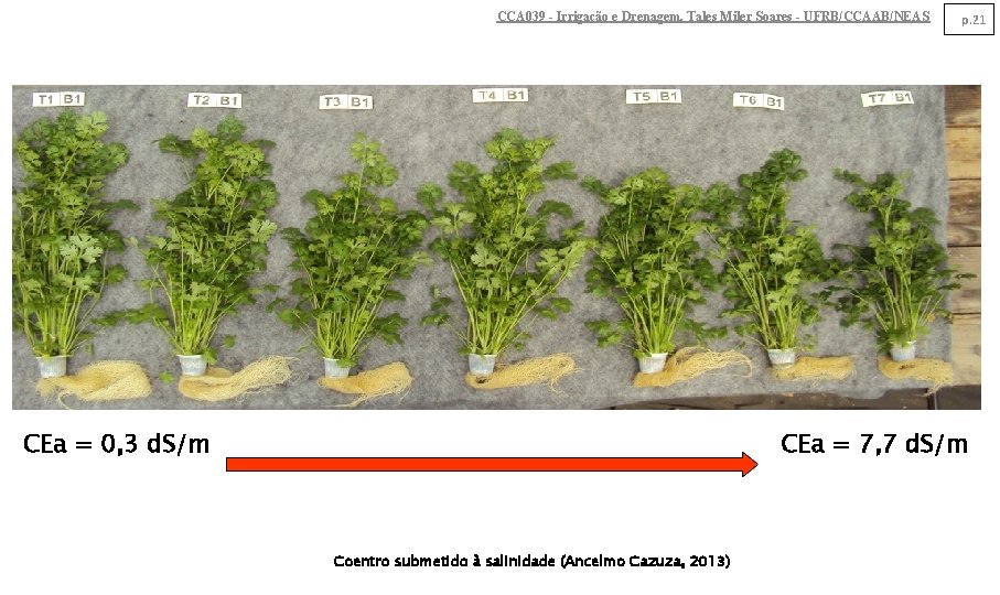 CCA 039 - Irrigação e Drenagem. Tales Miler Soares - UFRB/CCAAB/NEAS CEa = 0,