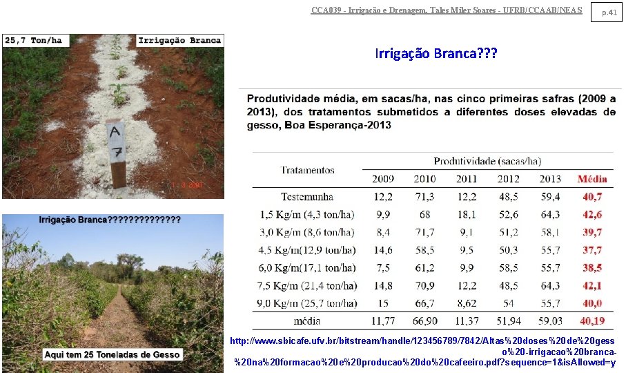 CCA 039 - Irrigação e Drenagem. Tales Miler Soares - UFRB/CCAAB/NEAS p. 41 Irrigação