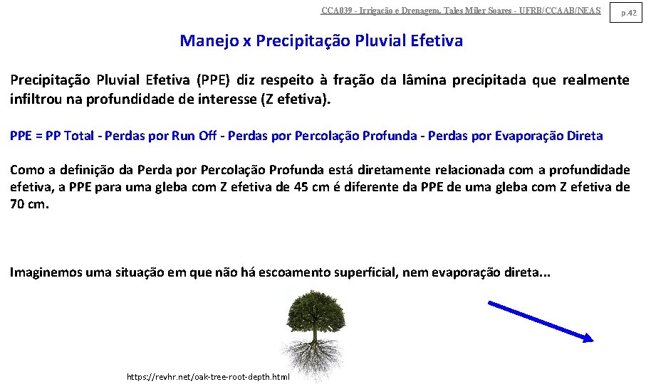 CCA 039 - Irrigação e Drenagem. Tales Miler Soares - UFRB/CCAAB/NEAS p. 42 Manejo