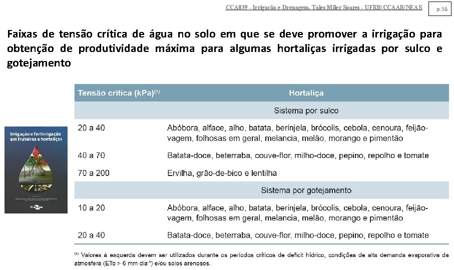 CCA 039 - Irrigação e Drenagem. Tales Miler Soares - UFRB/CCAAB/NEAS p. 56 Faixas