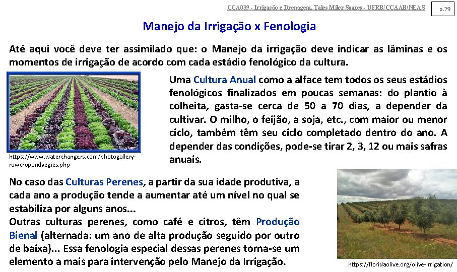 CCA 039 - Irrigação e Drenagem. Tales Miler Soares - UFRB/CCAAB/NEAS p. 79 Manejo