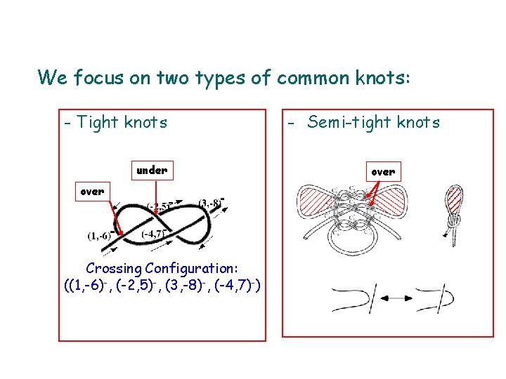 We focus on two types of common knots: - Tight knots under over Crossing