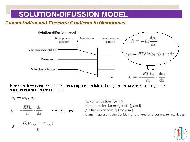 SOLUTION-DIFUSSION MODEL Concentration and Pressure Gradients in Membranes Pressure driven permeation of a one-component