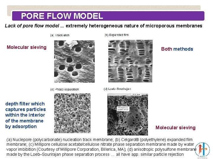 PORE FLOW MODEL Lack of pore flow model. . . extremely heterogeneous nature of
