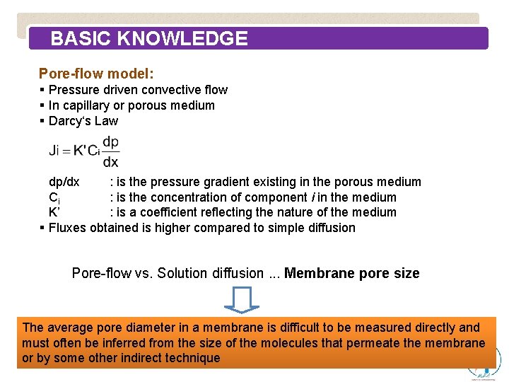 BASIC KNOWLEDGE Pore-flow model: § Pressure driven convective flow § In capillary or porous