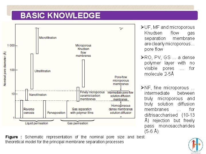 BASIC KNOWLEDGE Ø UF, MF and microporous Knudsen flow gas separation membrane are clearly